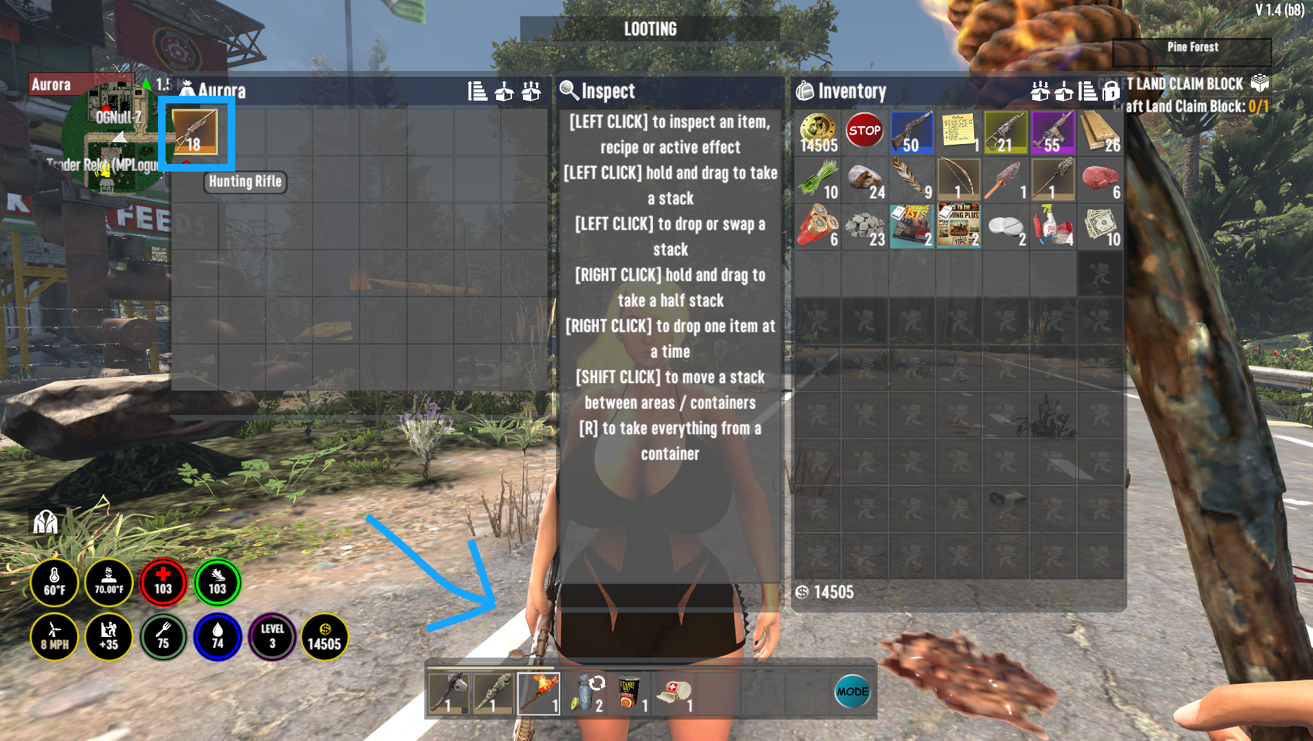 AuroraIMG4.png