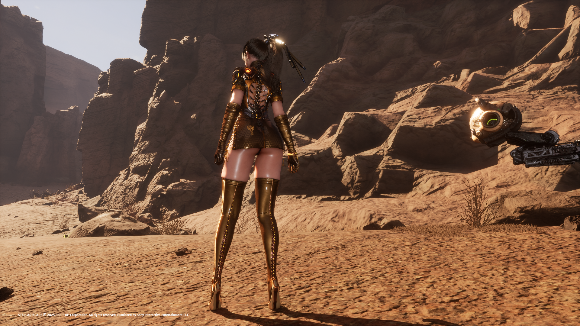 StellarBlade_250618_19503200000.png