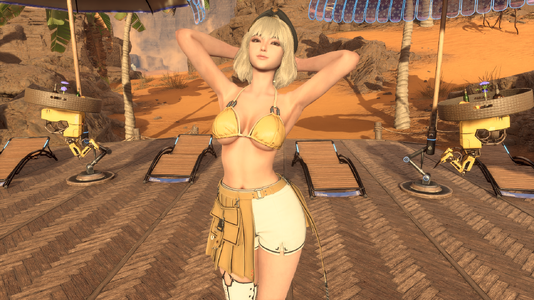Junk Engineer Bra.png