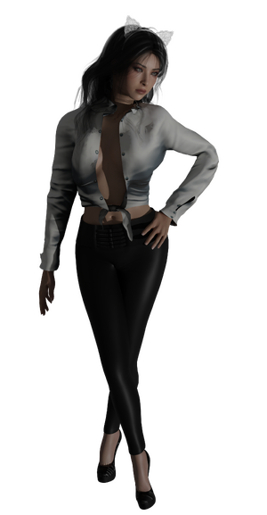 k8977.png