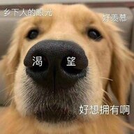 杰洛君