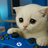 Sr. Gato
