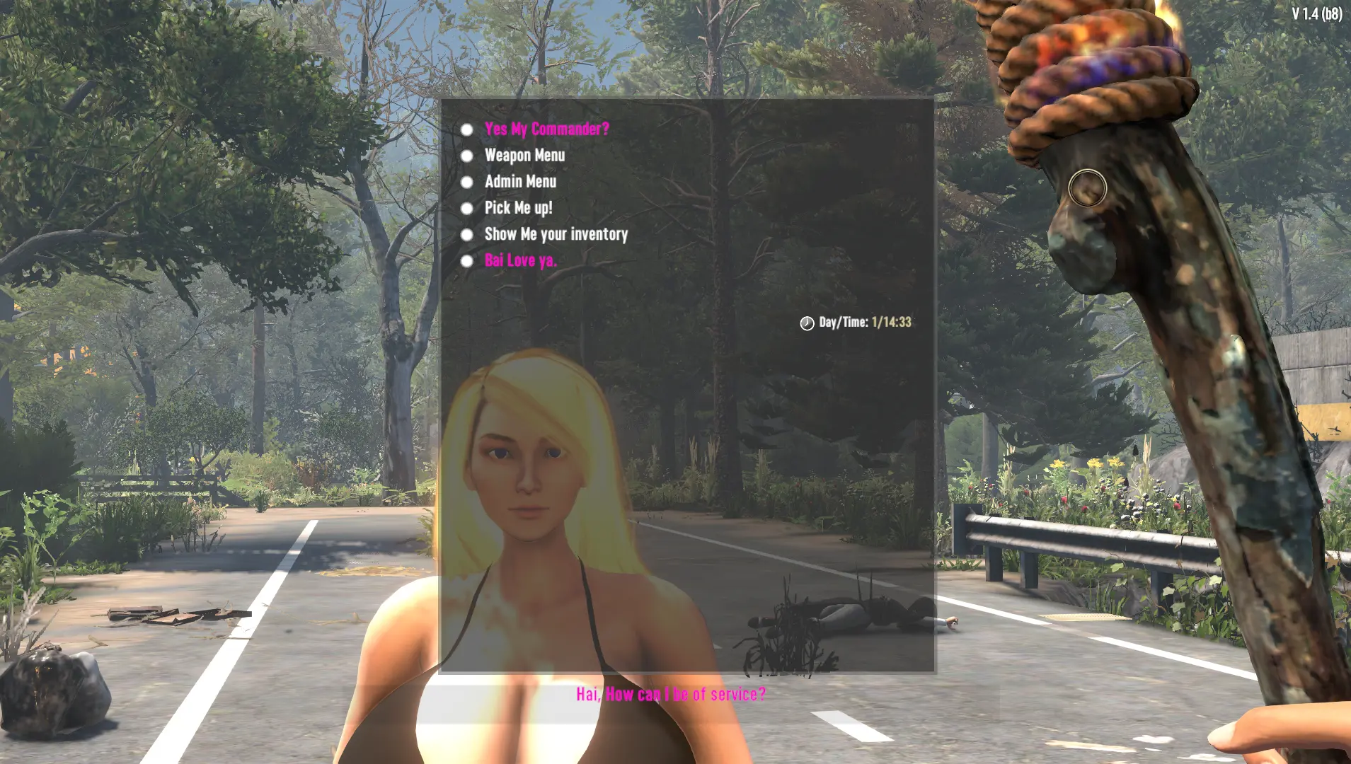 NPC - Aurora